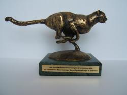 Gepardy Biznesu 2008